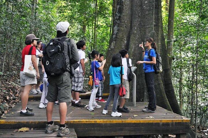 Lee Kong Chian Natural History Museum Ticket in Singapore