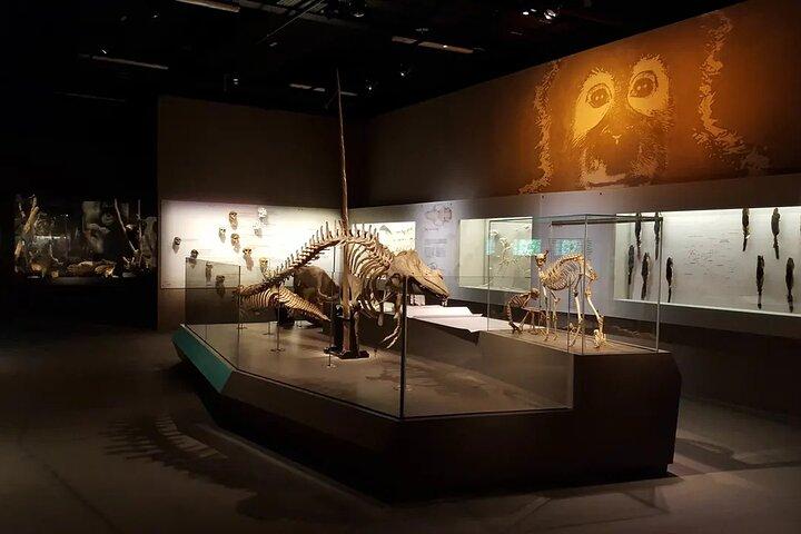 Lee Kong Chian Natural History Museum Ticket in Singapore