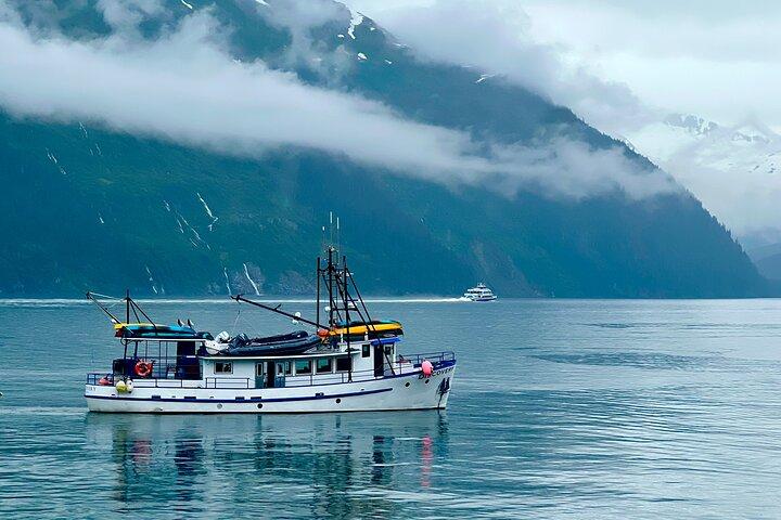 Fino a 10 persone Scegli la tua avventura da Anchorage Alaska