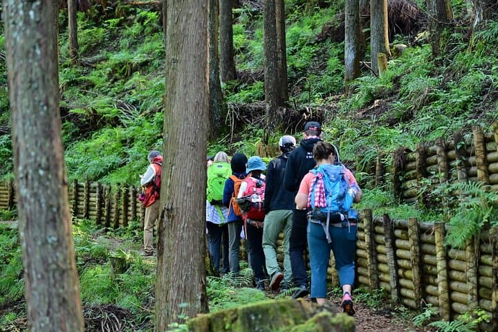 Okutama Forest Therapy Shinrin-yoku Tour with Lunch Options