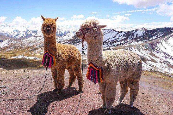 Tour privato da Cusco Palcoyo Rainbow Mountain Tour di un giorno