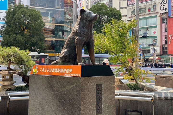 Shibuya Walking Tour: Crossing, Hidden Streets & Local Culture