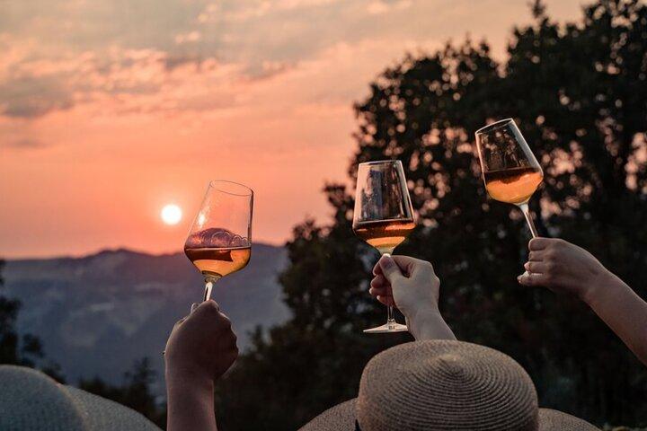 Dubrovnik Walk & Wine: Gamla stan Vandringstur med ett glas vin