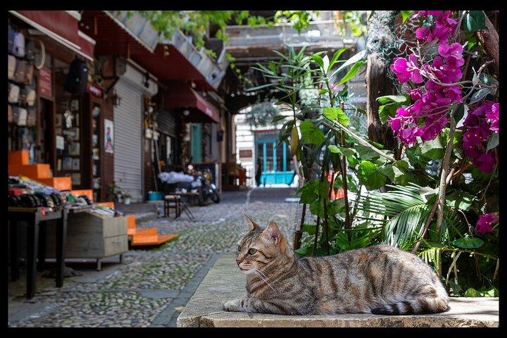 Beyoglu, Galata: Cultural - Culinary Route in Istanbul