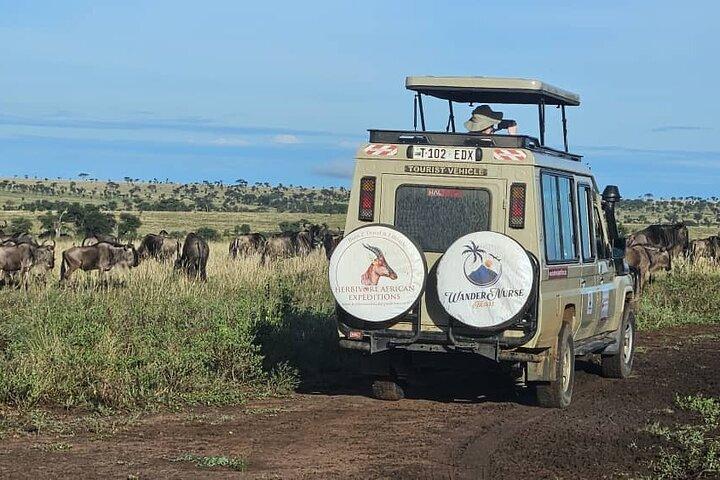 Safari de 7 días en el Serengueti Testigo del Cruce del Río Mara