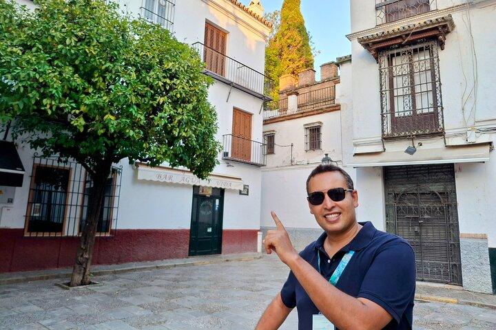 Sevilla privat guidad tur Katedralen Alcázar City Höjdpunkter