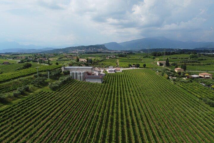 Benazzoli Wine Experience