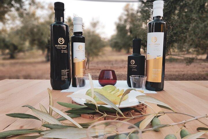 Mercedes Private Olive and Wine Tour.. nos campos