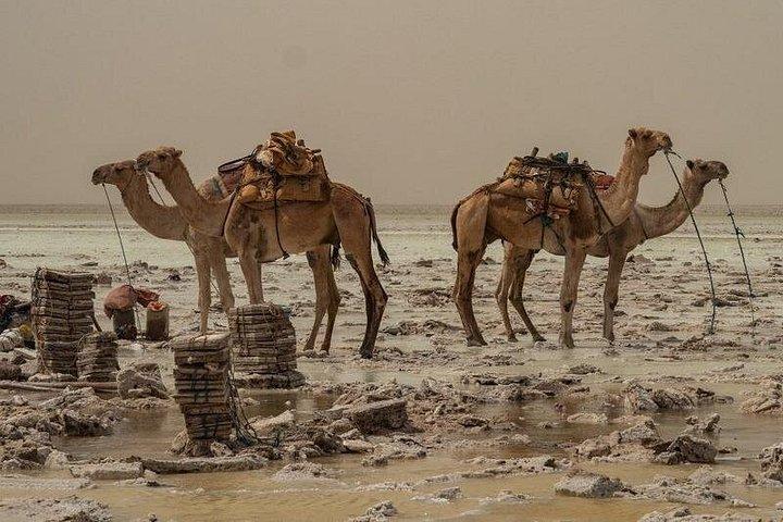 Danakil Depression 3 Days Adventure