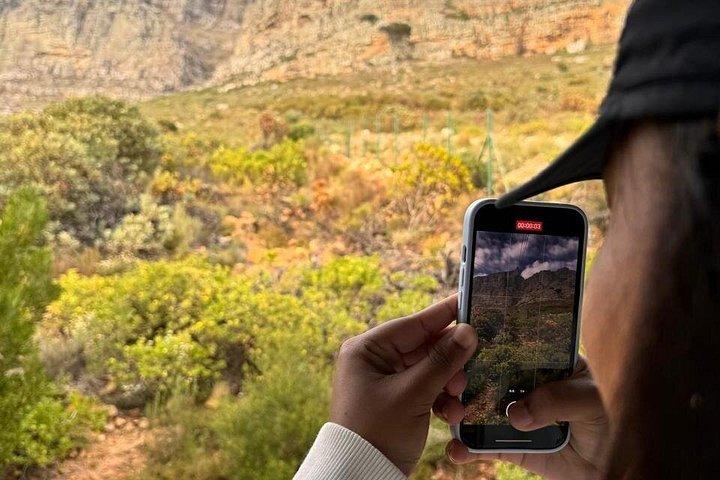 Pre Booked Tickets to Table Mountain, Penguins & Cape Point
