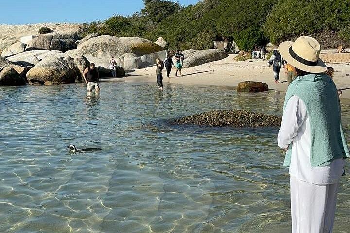 Pre Booked Tickets to Table Mountain, Penguins & Cape Point
