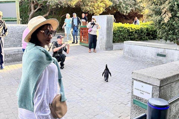 Pre Booked Tickets to Table Mountain, Penguins & Cape Point
