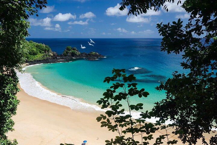 Barco tradicional em Fernando DE Noronha
