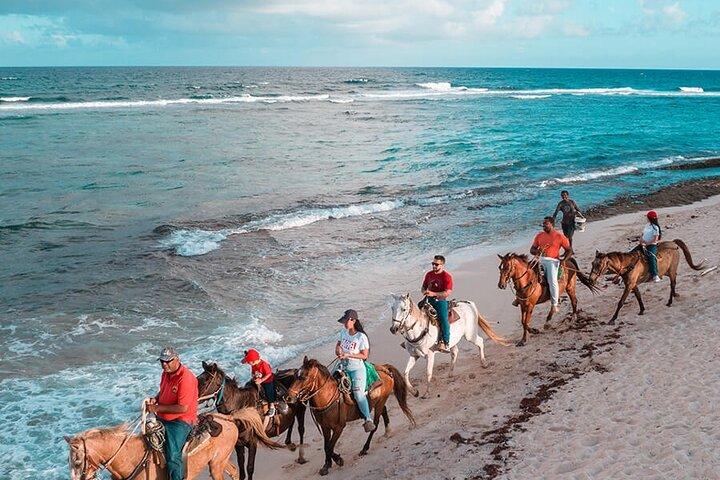 Aventura a caballo por las playas de Macao Alto en Punta Cana