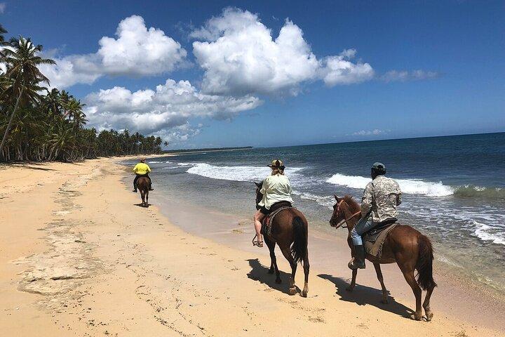 Aventura a caballo por las playas de Macao Alto en Punta Cana