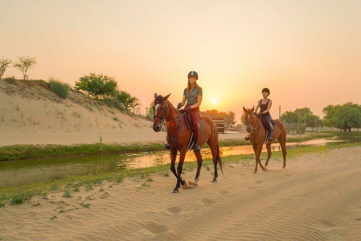 Dubai Al Marmoom Oasis Esperienza a cavallo con snack