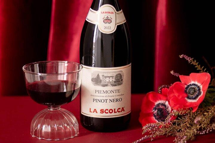The Scolca Experience