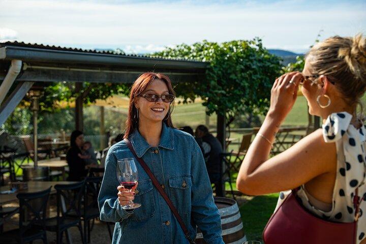 Tramoggia per vino Coal River