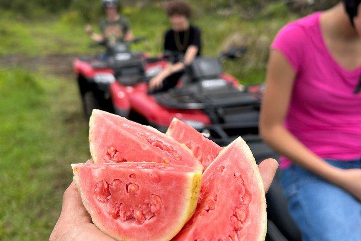 Tour en ATV por Big Island en Ohana Ranch