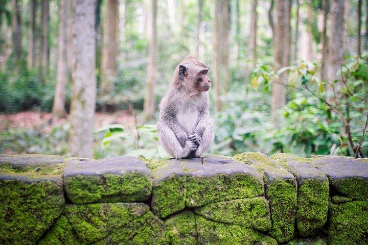 Essential Bali: The Complete Island Guide