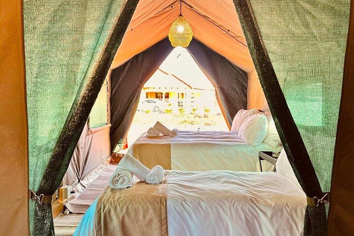 Safari di 3 giorni in campeggio Pilanesberg da Johannesburg