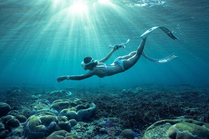 Tour privato di snorkeling su Ishigaki - Fino a 4 Persone, Tariffa Forfettaria -