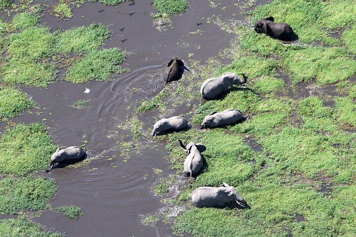 O grande Kenya Escape Safari esplendor e a felicidade costeira