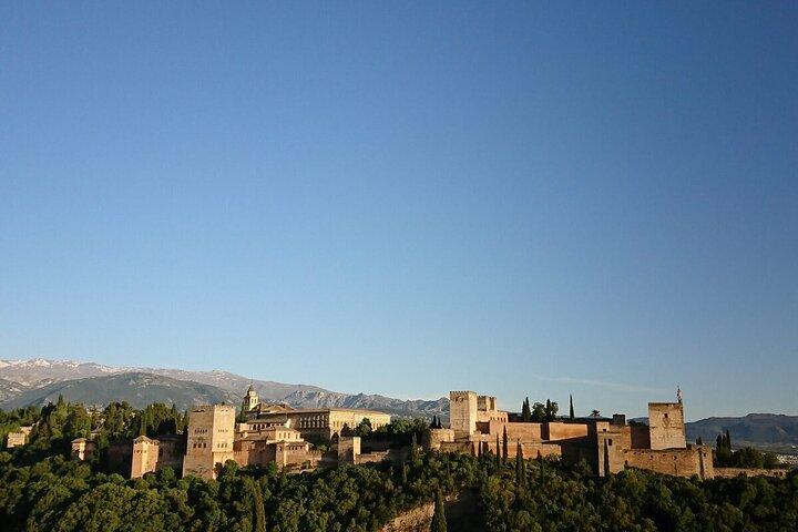 Premium Alhambra Tour desde el Puerto de Motril