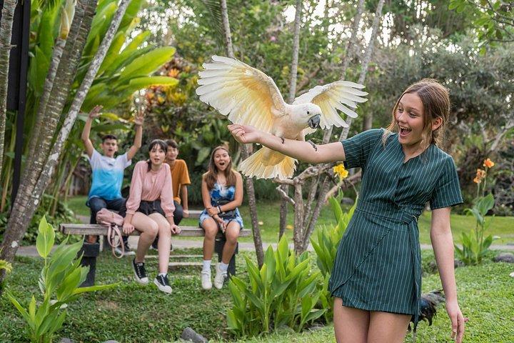 Bali Bird Park Ingresso Pass