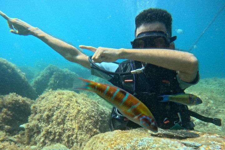 Half Day Scuba Dive in the Mediterranean from Chefchaouen