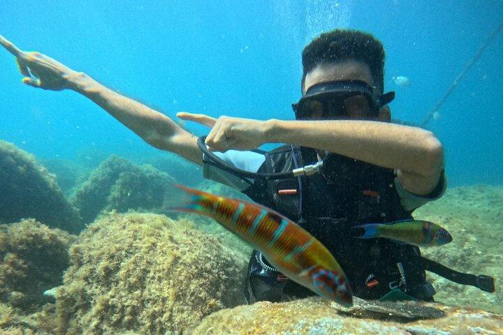 Excursion d'une journée de plongée sous-marine de Chefchaouen à la Méditerranée