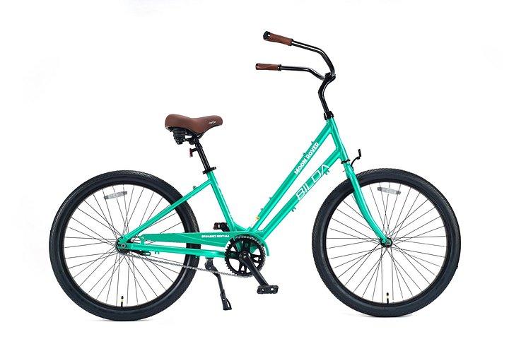 Noleggio di un incrociatore a velocità singola per il centro di Charleston