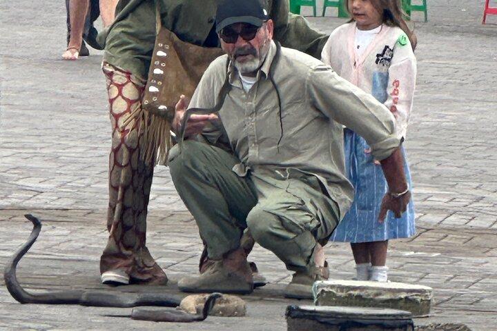 Tour VIP di Marrakech in 4 ore con autista multilingue