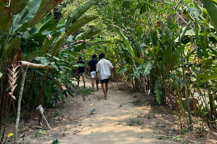 Från Huatulco: Exotisk trädgård på en ekoturismranch