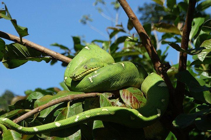 Manu National Park Tour 3 Days