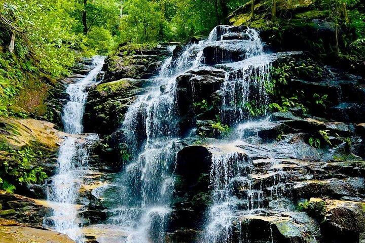 Beste Blue Mountains Full Day Tour-optioneel Sydney Zoo & Leura Town
