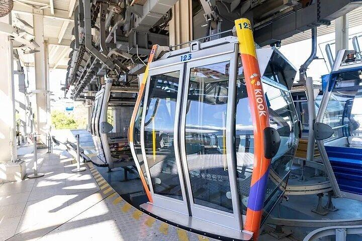香港のゴンピン360ケーブルカーチケット