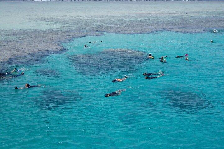 Gita sull'isola di Tiran, snorkeling, immersione singola e pranzo–Sharm El Sheikh