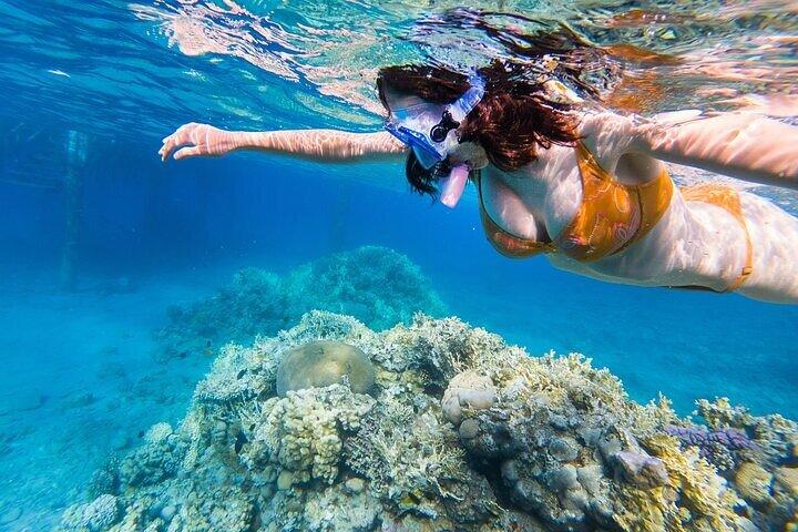 Excursión de snorkel en la isla de Tiran con almuerzo y traslado – Sharm El Sheikh