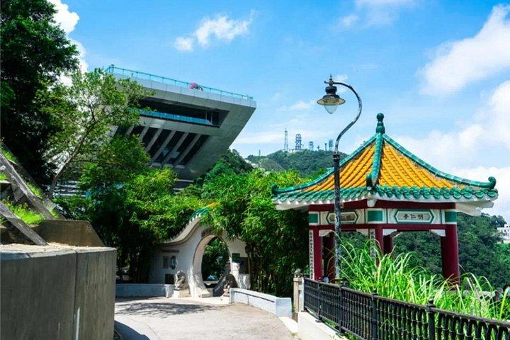 Excursão em profundidade de Hong Kong com Peak Tram Ride & Tim Ho Wan Dim Sum