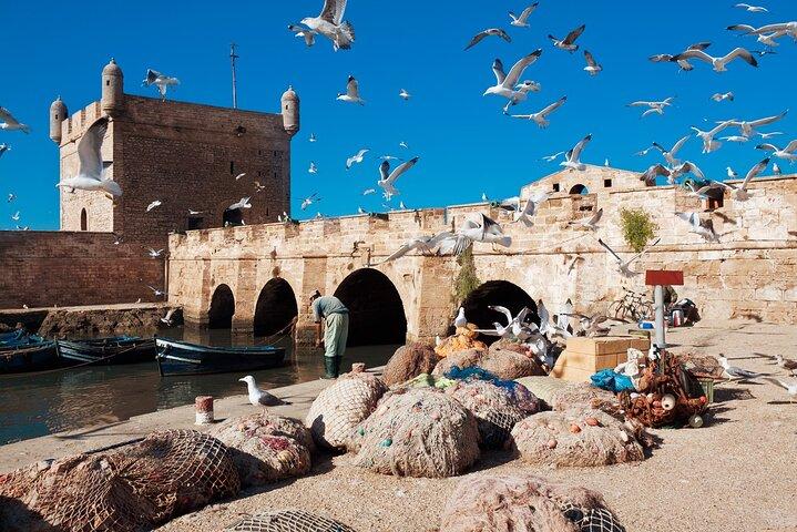 Essaouira Day Trip from Marrakech Explore Coastal Souk and Beache