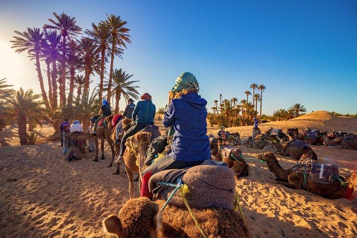 Marrakech da Casablanca con carrozza a cavallo e giro in cammello