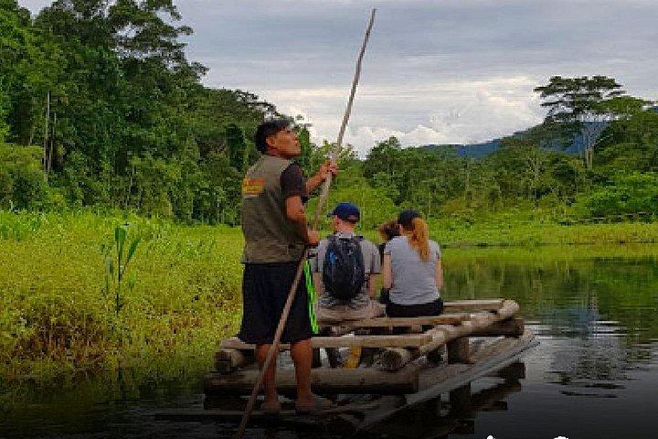 Manu Amazon 2 - Day Tour from Cusco: Wildlife & Jungle