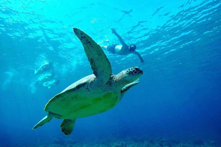 3 eiland snorkeltour en schildpaddenreservaat met GoPro