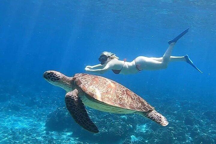 3 eiland snorkeltour en schildpaddenreservaat met GoPro