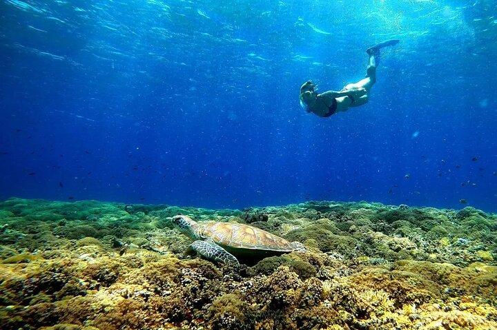 3 eiland snorkeltour en schildpaddenreservaat met GoPro