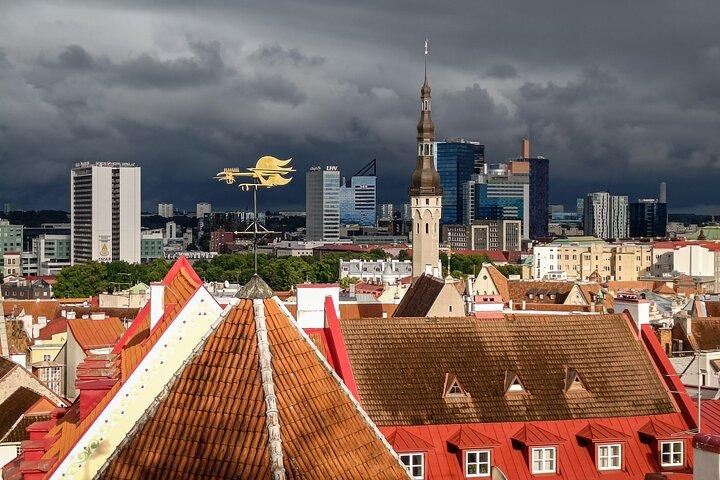 Tallinn Altstadt Private Wanderung mit einheimischem estnischen Fortgeschrittener