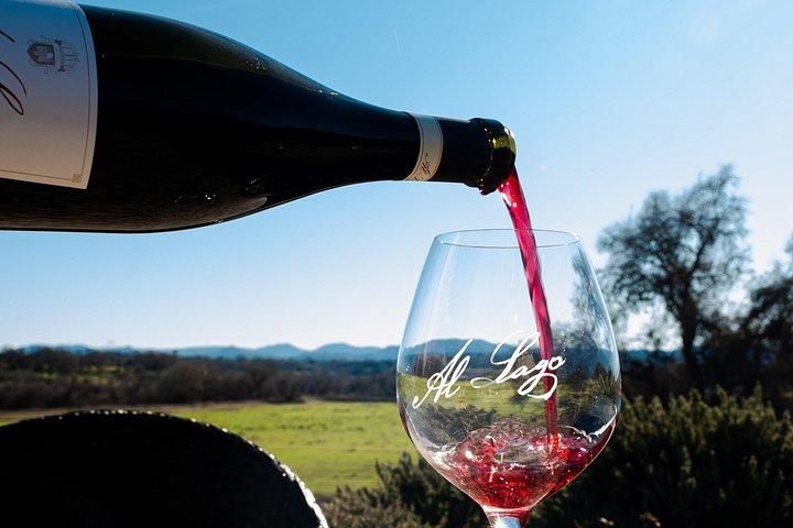 Paso Robles Aria (Syrah Dominant) Flight Wine Tasting