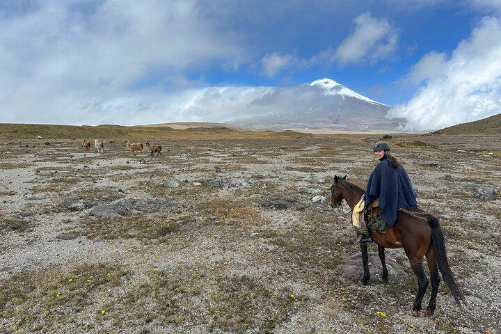 Cotopaxi ridtur