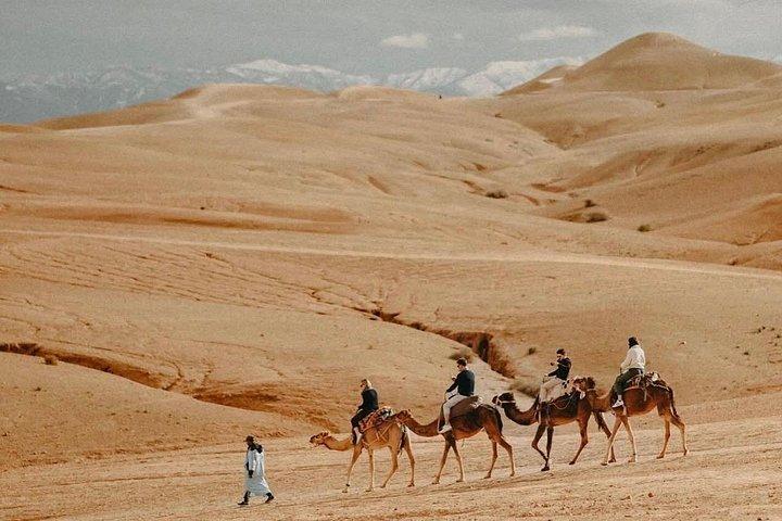 Agafay Desert Dinner Show Cammello e quad privato da Marrakech